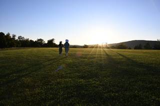 Wolftrap Farm - 5