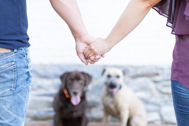 Ashley Elizabeth Photography - 3
