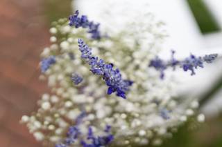 J. Morris Flowers - 88