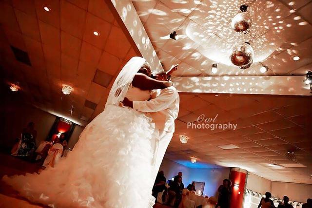 Owl Photography - 1