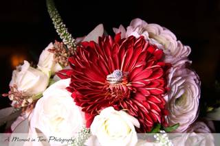 A Moment in Time Photography - 20