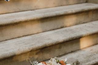 Ivory and Beau - 104