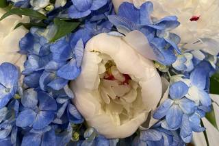 Zofia Floral & Design Co. - 53