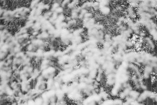 Luke Wayne Photography - 50