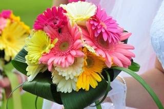 Amy Kate Designs - 69