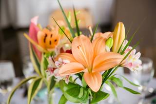 Tessfresh and Tessilk Flowers - 41