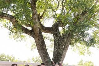Dash Stables Ranch - 27