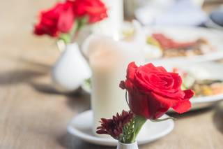 The Mini Rose Co. - 13