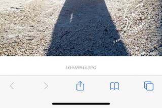 Sandhill Photography - 25