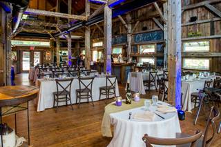 Willow Spring Vineyards - 8