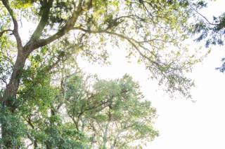 Svetlana Photography - 14