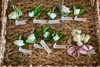 Southern Stems - 12