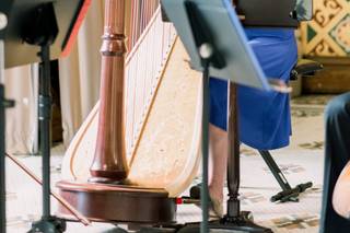 Sarah Javaux, Harpist - 1