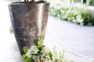 Lovely Peonies - 114
