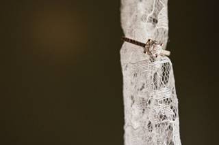 Paradis Photography - 7