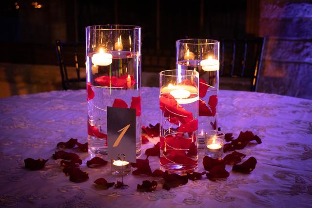 Events by Touch of Elegance Decor - 4