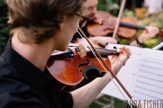 Parkwest Strings - 6