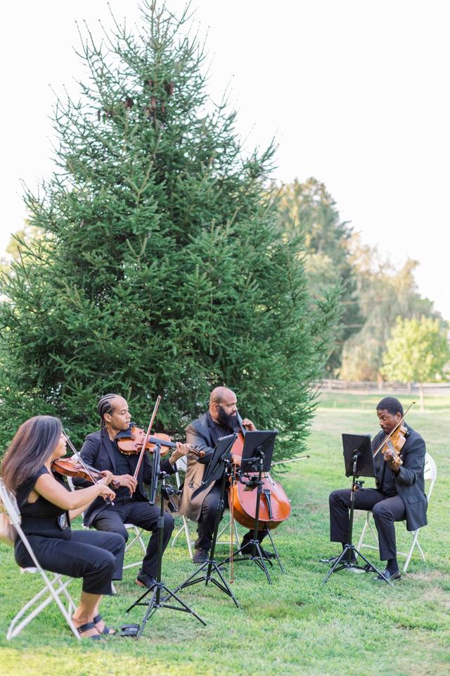 Sterling Strings - 2