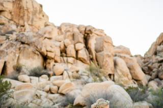J.Perryman Photography - 43