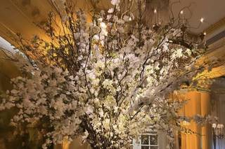 JW Marriott Essex House New York - 6