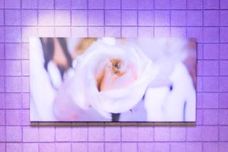 Susan's Floral Design - 26