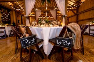 Lavender Elephant - 21