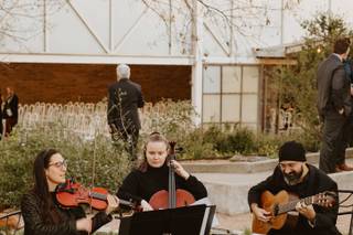 Live Oak Strings - 12