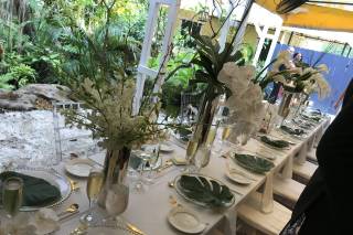 Lush Celebrations at Field of Flowers - 27