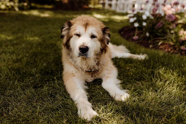 Victoria Saint Martin Photography - 1