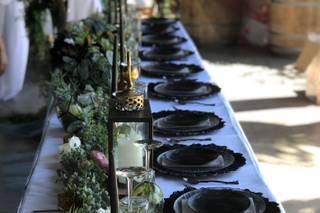 Taylor Rental Party Plus/Naples - 8