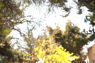 Tami Bernard Makeup - 21