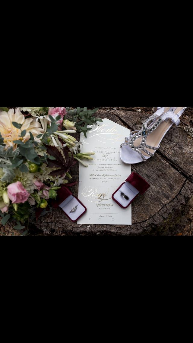 Wendy Zook Photography - 2