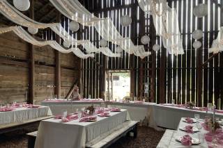 Enchanted Cactus Events - 7