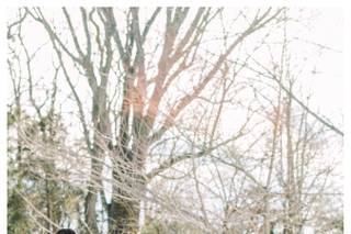 Britt Lee Wedding & Portrait Photography - 96