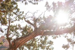 Andrew Holman Photography - 16