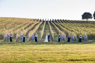 Trump Winery - 47