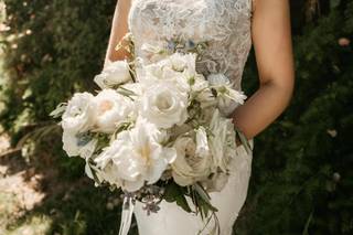 Amanda Basteen Photography - 9