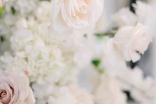 Luxe Petals - 28