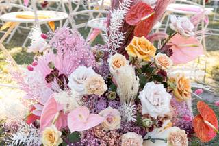 ROSE COLOURED - 6