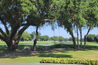 Orange Tree Golf Club - 5