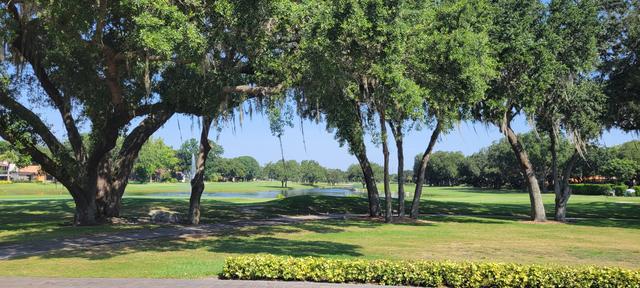 Orange Tree Golf Club - 1