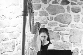 Meghan Davis, Harpist and Vocalist - 7