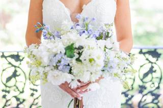 Antonia Scott Beauty - 5