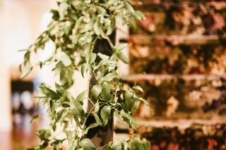 The Cottage Florals and Event Designs - 91