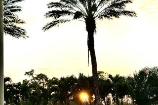 The Club at Grandezza - 18