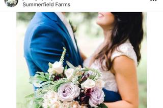 Liz Grogan Photography - 26