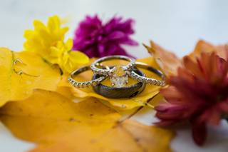 Tom Godfrey Photography - 10