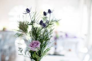 Nicole Bates Photography - 22