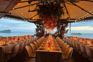 Tropical Occasions - 18