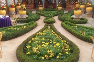 Phipps Conservatory - 22